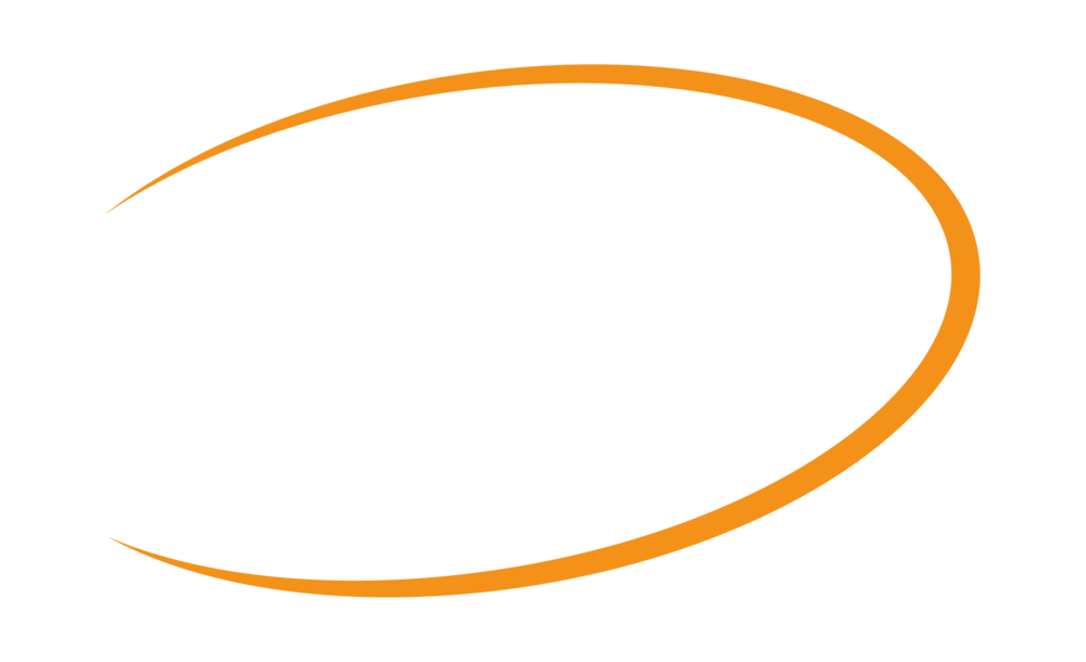 Logo blanco - SNF Detailing